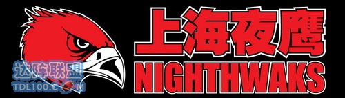 Shanghai Nighthawks1.jpg
