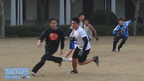 17.jpg