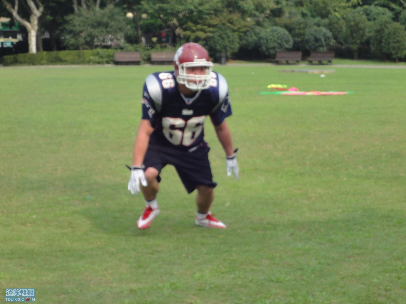 DSC02584.jpg